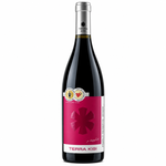 Family Reserve 2022 - Rotwein trocken - Qvevri & französische Eiche - Terra Kisi