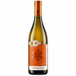Family Reserve 2022 - Weißwein Trocken -  Qvevri & französische Eiche - Terra Kisi